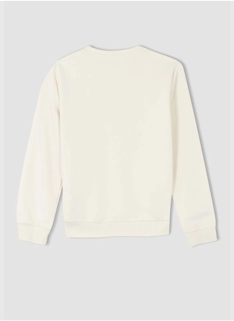 DeFacto Long Sleeve Crew Neck Sweater