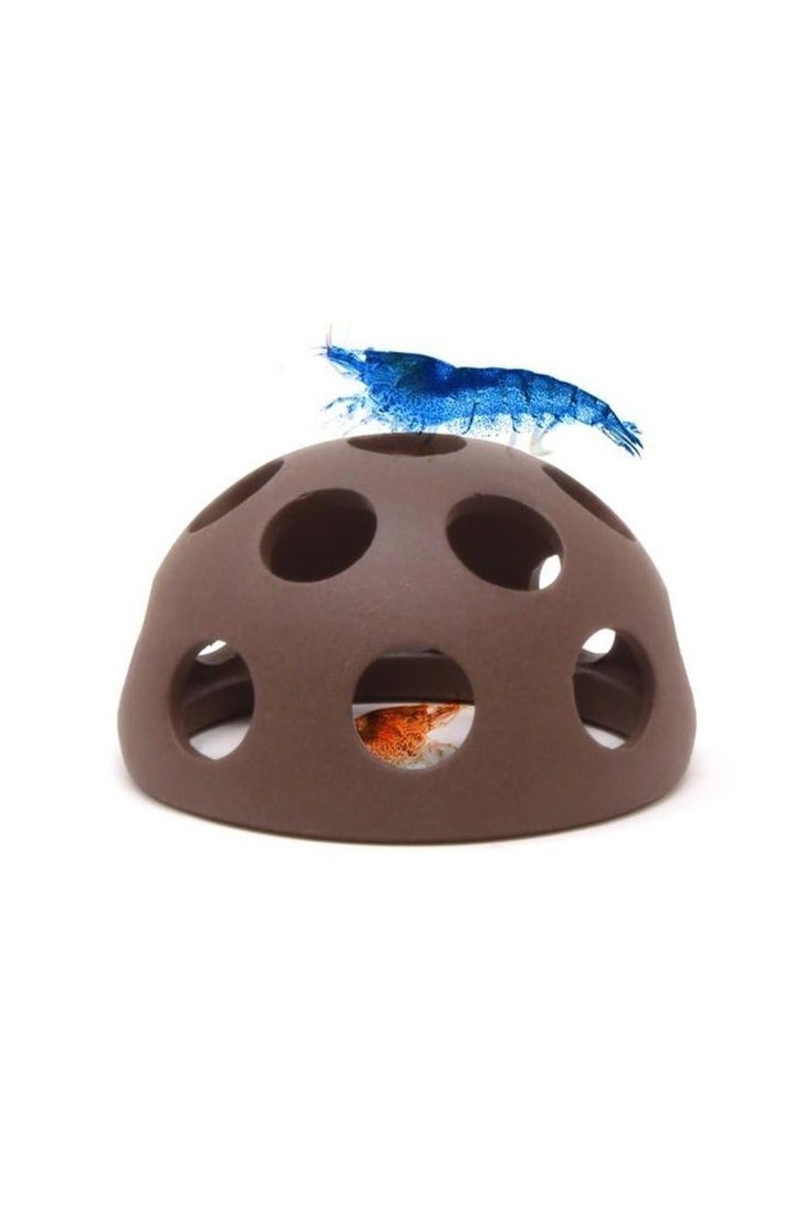 نصف كرة من جلد الروبيان 5.5 سم - Image 2