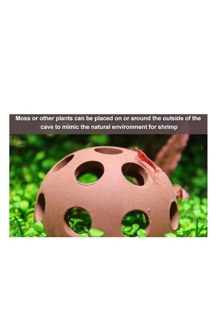 نصف كرة من جلد الروبيان 5.5 سم - Image 4