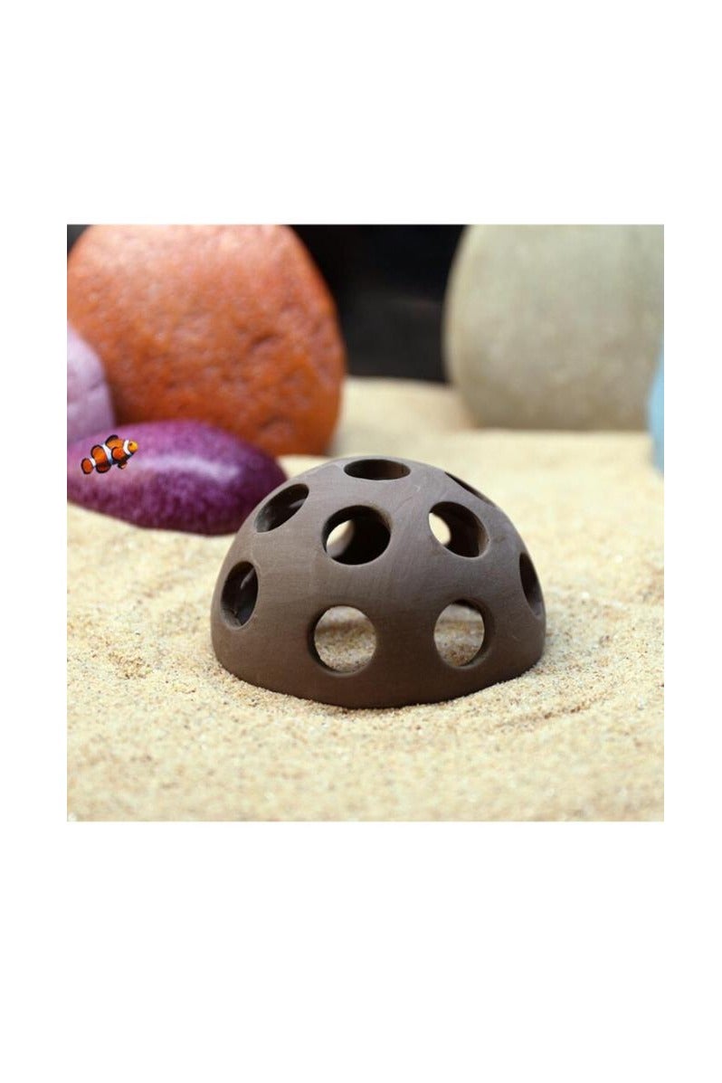 نصف كرة من جلد الروبيان 5.5 سم - Image 3