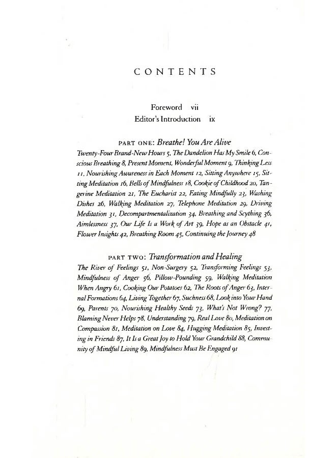 Peace Is Every Step - Image 3