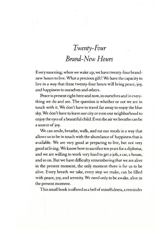 Peace Is Every Step - Image 4