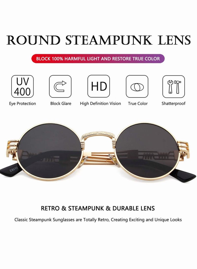 roaiss Round Steampunk Sunglasses for Men Women Vintage Circle Shades Outdoor Fashion Street Snap UV400 Protection Sun Glasses with Metal Frame - Image 5