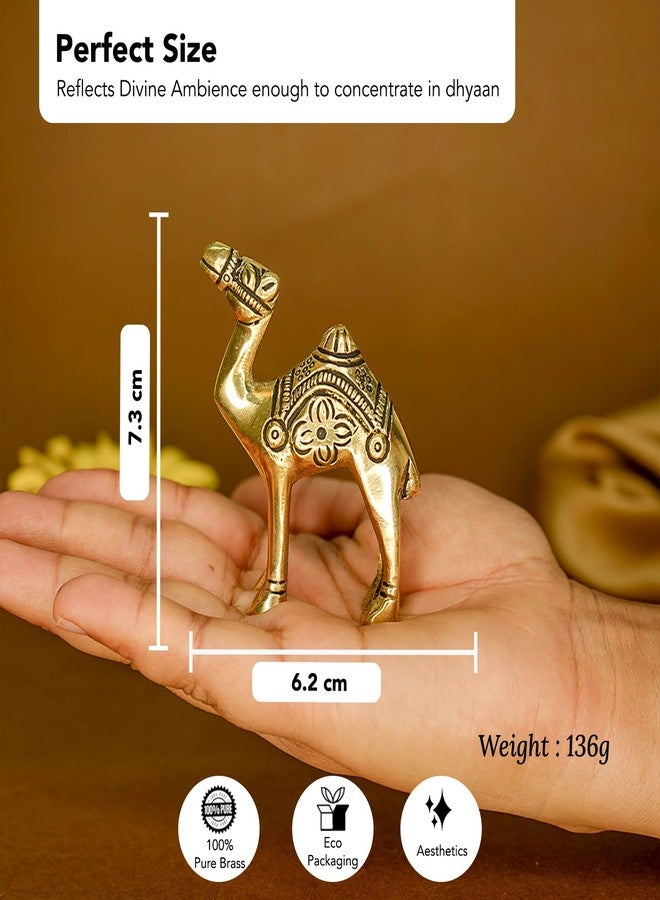 إخاصة تحفة فنية من إيكاسا، مصنوعة من النحاس الخالص 100%، على شكل جمل ذهبي، مثالية لتزيين المنزل أو المكتب أو الطاولة | تمثال جمل معدني لغرفة المعيشة، قطعة ديكور منزلية، أو قطعة فنية داخلية | تحفة فنية عتيقة أو ذات طابع جمالي، هدية مثالية - Image 3