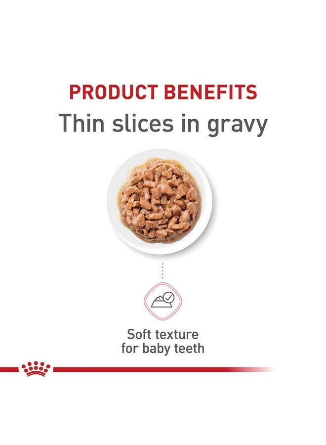 ROYAL CANIN Feline Health Nutrition Kitten Thin Slices In Gravy Canned Cat Food, 3 Oz Can (24Count) - Image 2