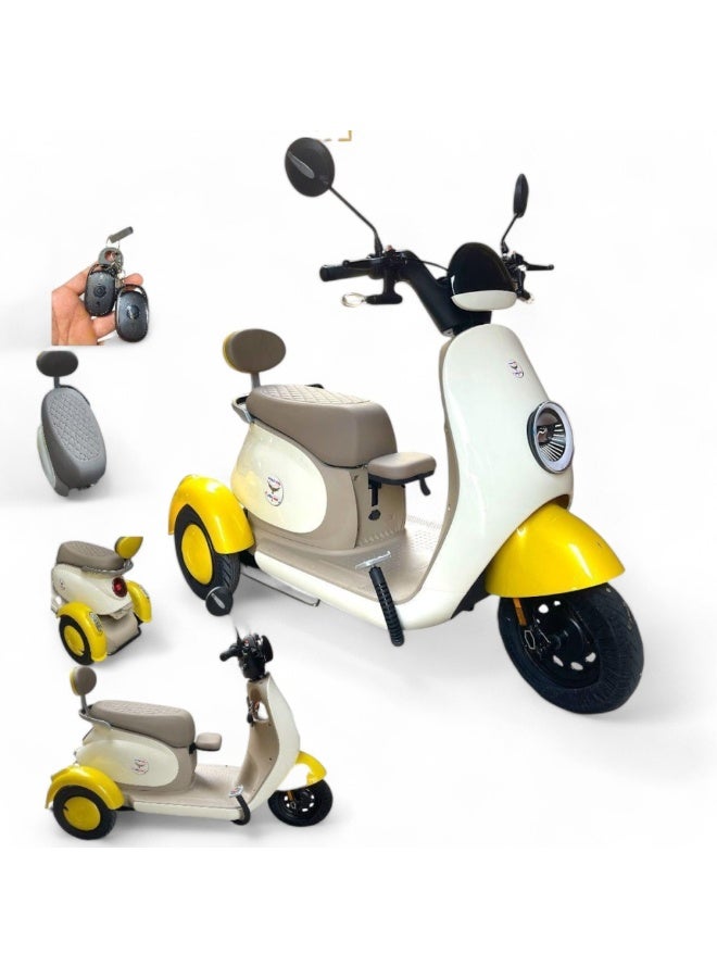 Electric scooter with 3 wheels for the elderly