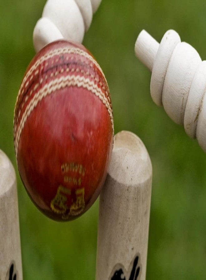 EOS- BUILDING TRUST Twenty 20 Cricket Leather Ball 7 CM (Pack of 2) - Image 5