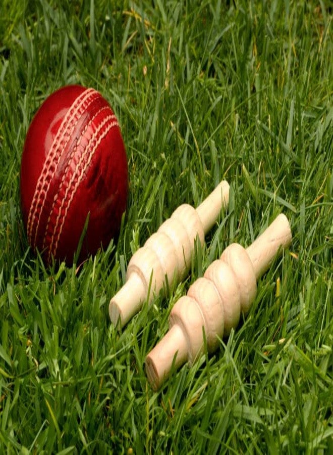 EOS- BUILDING TRUST Twenty 20 Cricket Leather Ball 7 CM (Pack of 2) - Image 4