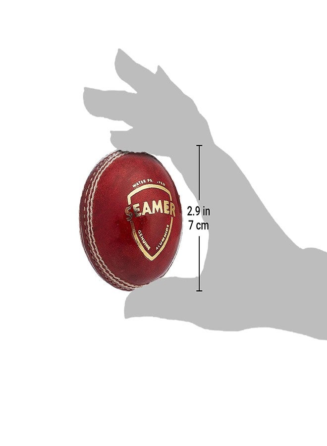 EOS- BUILDING TRUST Twenty 20 Cricket Leather Ball 7 CM (Pack of 2) - Image 3