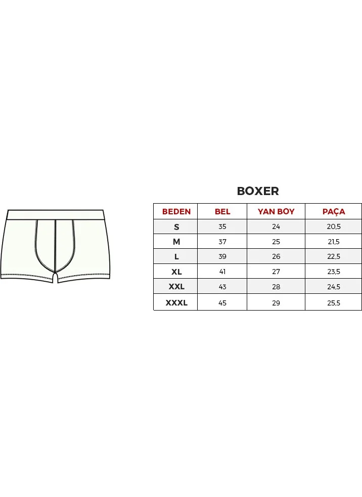 U.S. Polo Assn. 10 Men's Modal Boxers