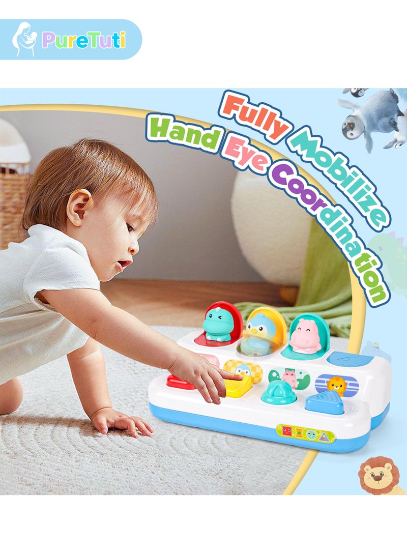 PureTuti Pop-Up Toy for 1-3 Years, Animal Theme, Baby Boys Girls Activity Cube, Montessori Toys, Sensory Toys, No Batteries Required - Image 5