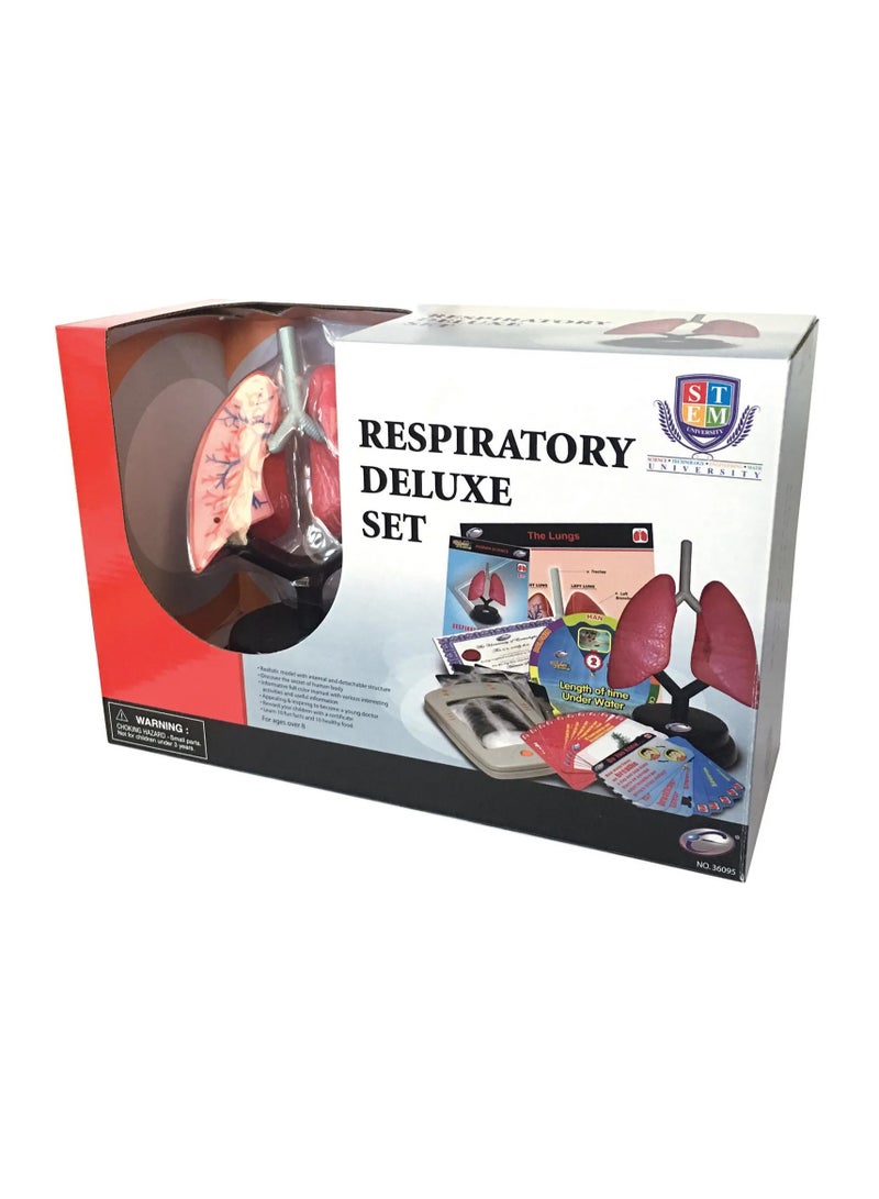 EASTCOLIGHT RESPIRATORY DELUXE SET - Image 1