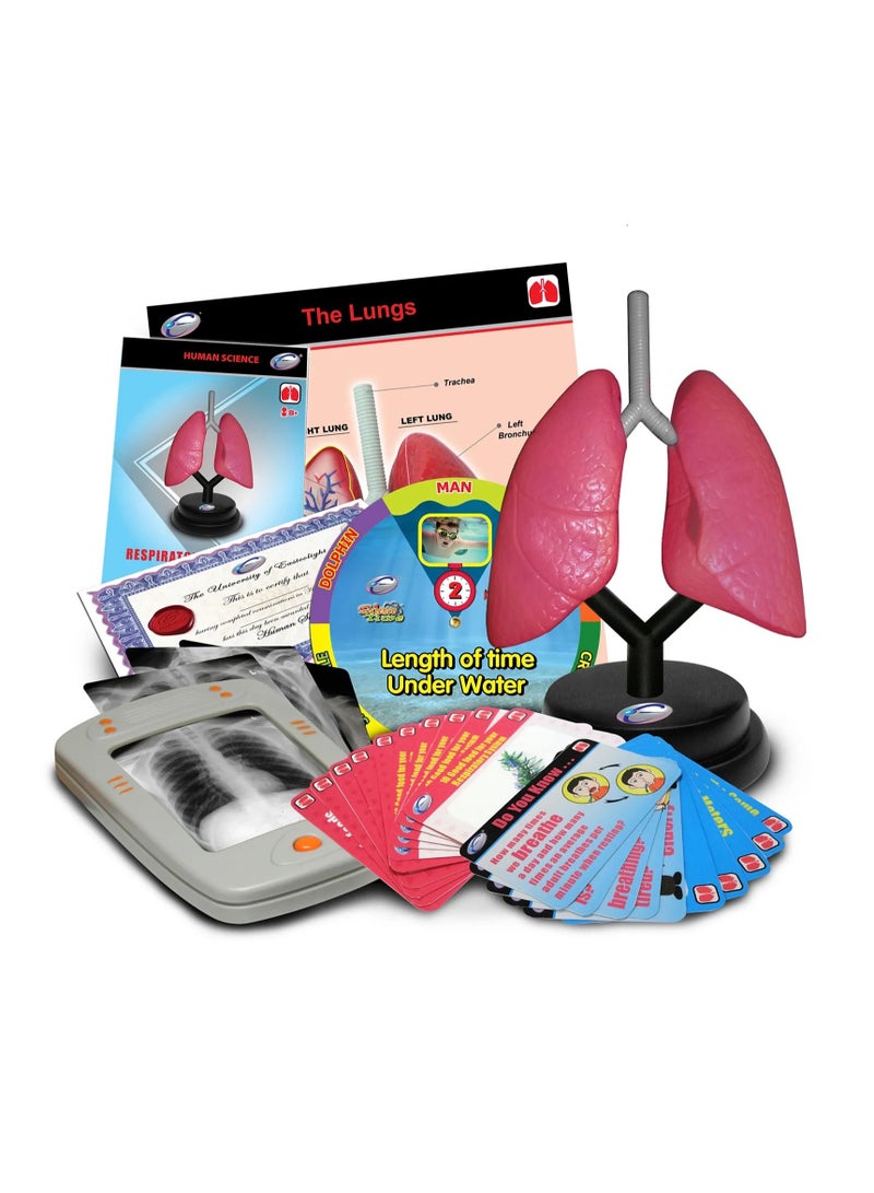 EASTCOLIGHT RESPIRATORY DELUXE SET - Image 2