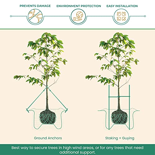 DeepRoot ArborTie Heavy-Duty Ground Anchoring Kit for Tree Support, Includes Three 10’ ArborTie Green and Three 15” Steel Eye Earth Anchors, Versatile Tree Stake Kit, Landscaping Stakes (AT HD15) - Image 3