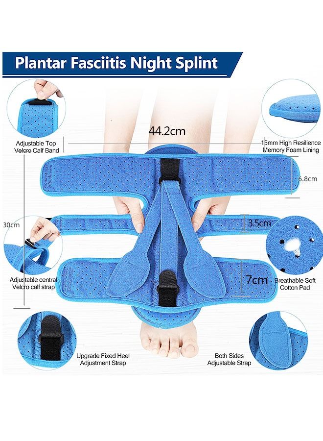 التهاب اللفافة الأخمصية ليلا جبيرة ، مع 3 قابل للتعديل حزام اللفافة الأخمصية تخفيف قوس ، تخفيف التهاب اللفافة الأخمصية ، تدلى القدم ، التهاب الأوتار الكعبية ( الأزرق ) - Image 2