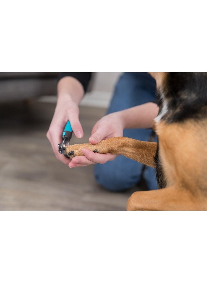 تريكسي مقص أظافر تريكسي للحيوانات الأليفة، للكلاب الصغيرة والقطط والحيوانات الصغيرة والطيور، 4.7 بوصة (12 سم) - Image 3