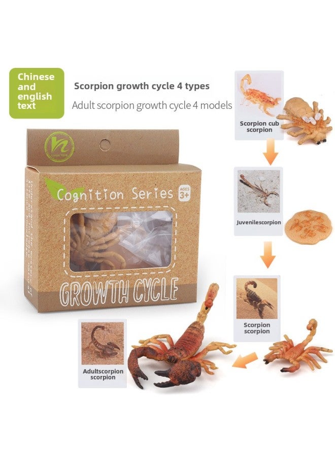 Realistic Simulation Animal Plant Models Toy Collection - Dinosaurs Dragons Unicorns Mermaids Sharks More-Color:PL127-2449 Scorpion Growth Cycle + Chinese Card + Color Box  - Image 1