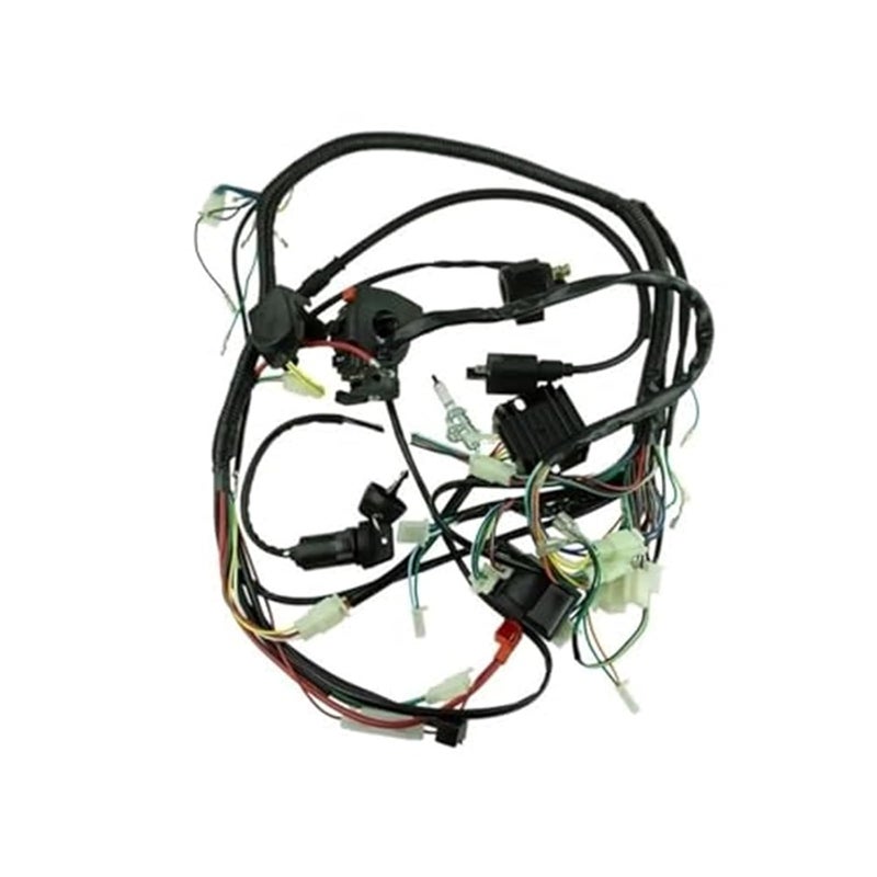 Wivplex Full Wiring Harness for 150cc to 300cc Engines - Image 1