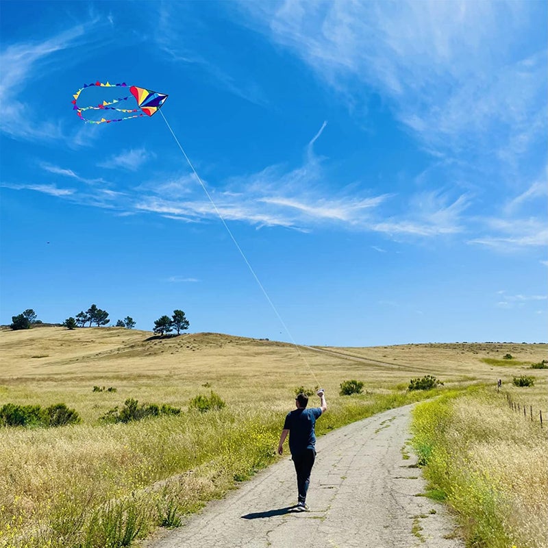 Honbo Large Delta Kite for Kids & Adults,Extremely Easy to Fly Kite for Beach Trip,String Line Included,with Colorful Colors Tail,Perfect for Beginners, - Image 3