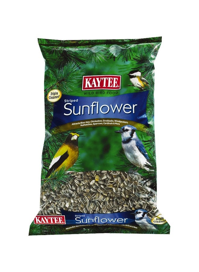 كايتي طعام الطيور البرية من كايتي بنكهة عباد الشمس المخططة، 5 أرطال - Image 1