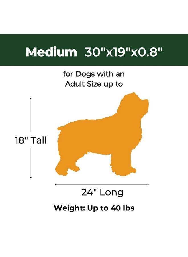 بالنس وسادة قفص الكلاب BALANCE، وسادة قفص إسفنجية للكلاب، سرير للحيوانات الأليفة قابل للغسل ومقاوم للماء، حصيرة قفص للكلاب المسطحة متوسطة الحجم - Image 5