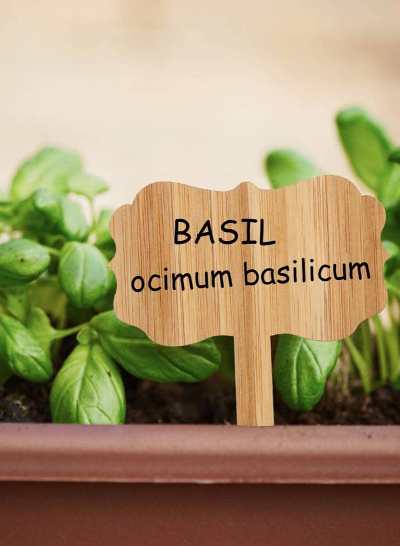 Barakah Plant Tags, T- Type Wooden Plant Markers with Pen for Plants Nursery Seed Garden Greenhouse Supplies, Herbs Flowers Vegetables Potted (6.3x10cm) 60 PCS - Image 4