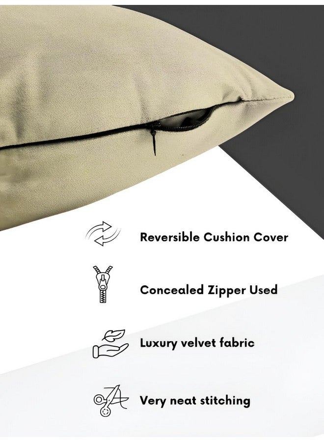 IVAZA IVAZA Velvet Decorative Cushion Cover 24x24 Inch - Set of 5, Soft Solid Square Throw Pillow Covers for Sofa, Living Room or Home Decor - 60x60cm Beige - Image 2