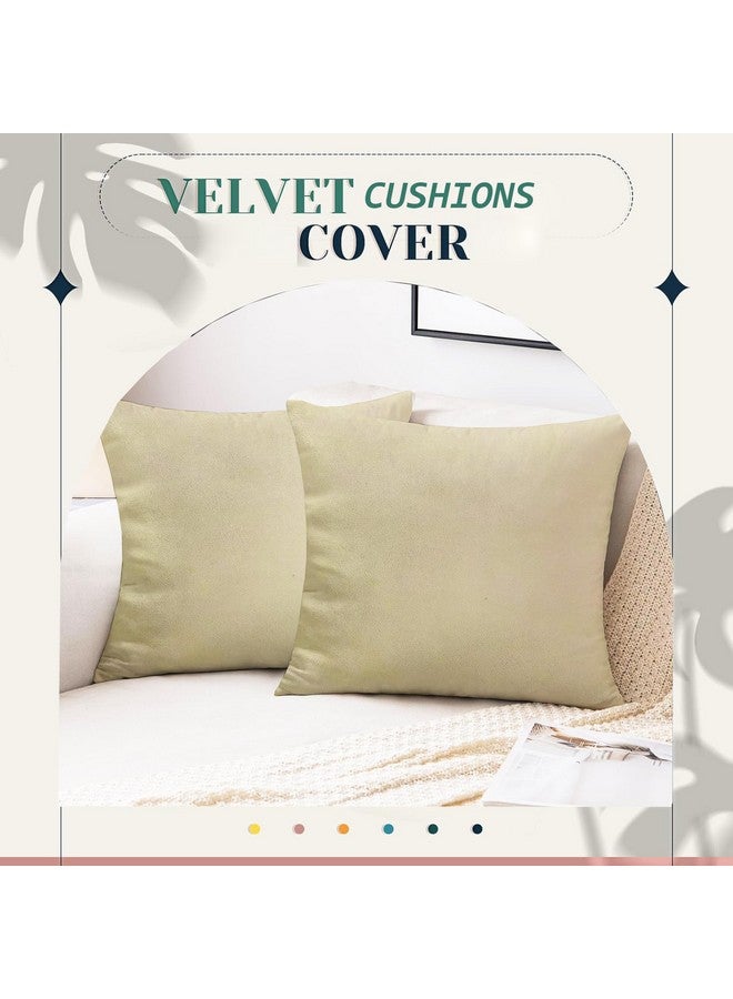 IVAZA IVAZA Velvet Decorative Cushion Cover 24x24 Inch - Set of 5, Soft Solid Square Throw Pillow Covers for Sofa, Living Room or Home Decor - 60x60cm Beige - Image 4