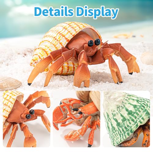 THINKBAY 6PCS Hermit Crab Figurines ToysOcean Sea Animals Toys Figures Realistic Soft Sea Creatures Toys for Kids Boys GirlsBirthday Gifts Cake Toppers Decoration for Toddlers Boys Girls - Image 5