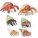 THINKBAY 6PCS Hermit Crab Figurines ToysOcean Sea Animals Toys Figures Realistic Soft Sea Creatures Toys for Kids Boys GirlsBirthday Gifts Cake Toppers Decoration for Toddlers Boys Girls - Image 2