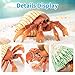 THINKBAY 6PCS Hermit Crab Figurines ToysOcean Sea Animals Toys Figures Realistic Soft Sea Creatures Toys for Kids Boys GirlsBirthday Gifts Cake Toppers Decoration for Toddlers Boys Girls - Image 4