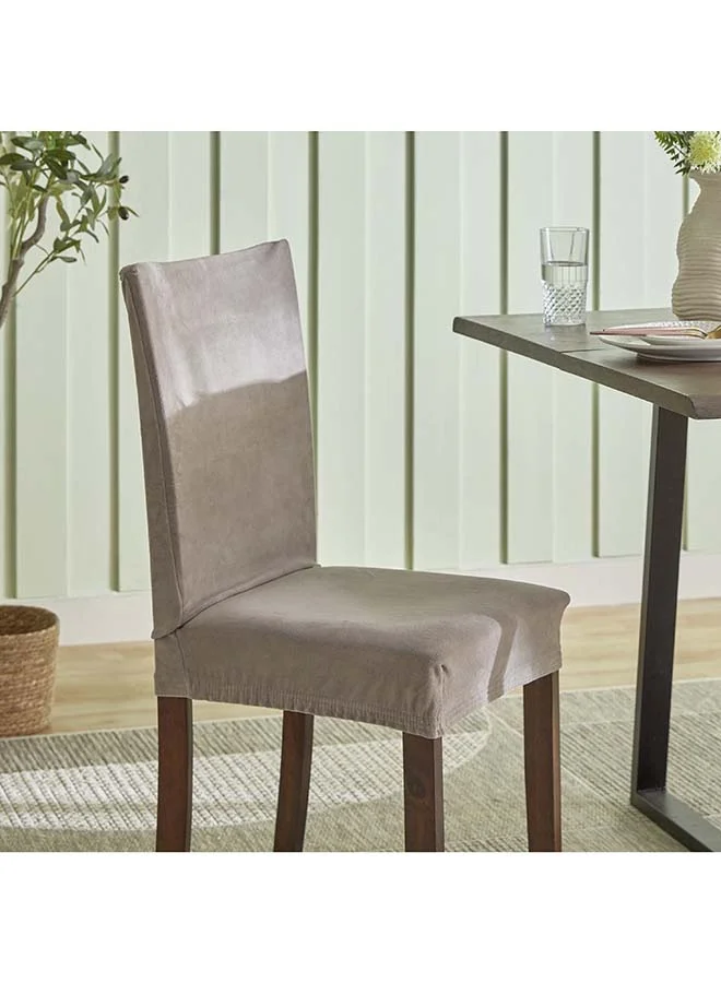 Home Box Veloura Velveteen Chair Cover