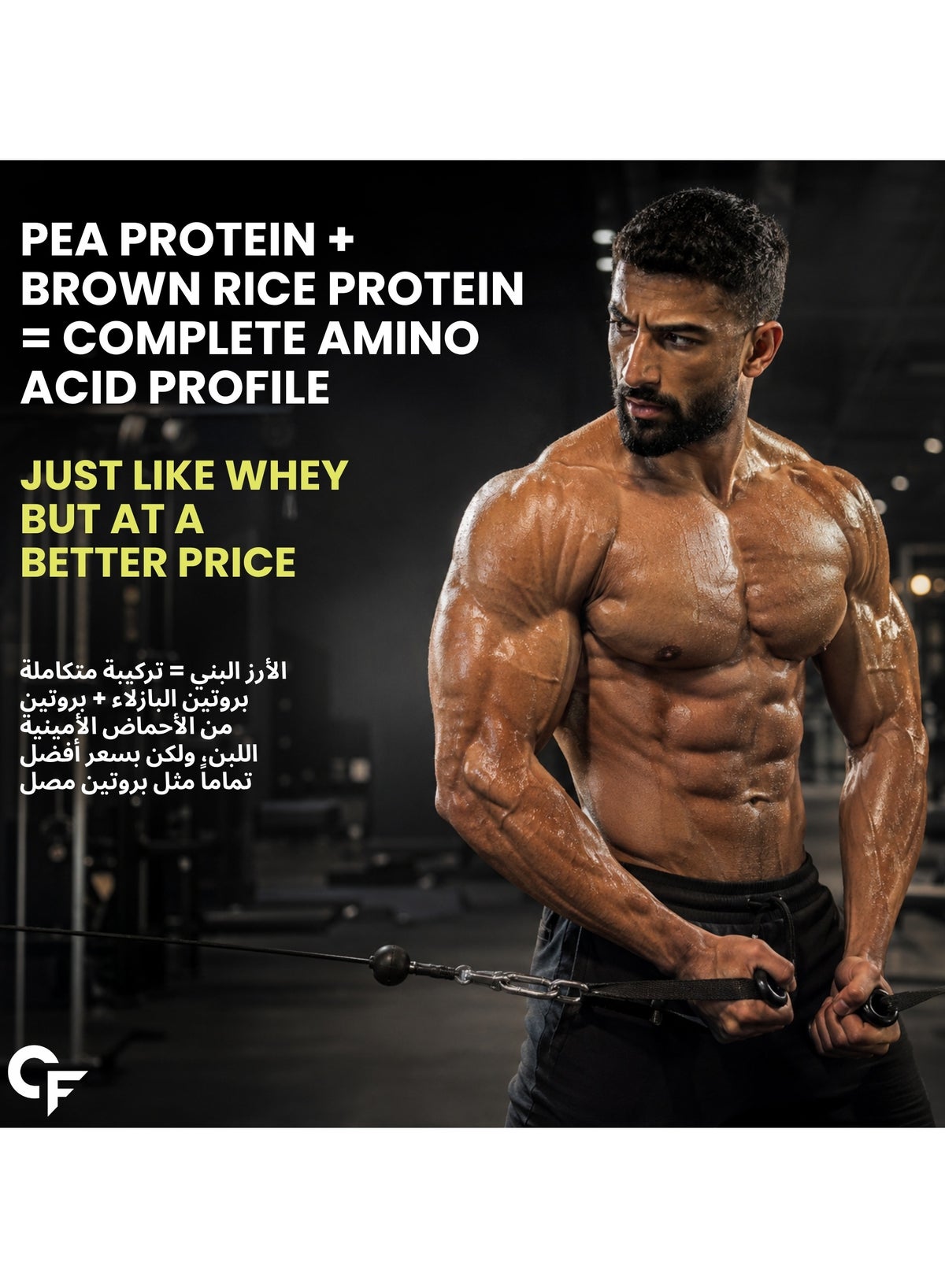 Carbamide Forte Vegan Protein Powder - Plant Based Protein Powder With Multivitamin, Minerals, Superfoods, Pea Protein, Digestive Enzymes | Plant Protein Powder - Alphonso Mango Flavour - 500G