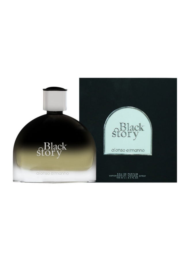Alonso Ermanno - Black Story EDP 100ml - Image 1