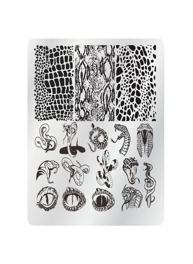 VNC 15Pcs Nail Stamping Plates Set 12pcs Nail Plates 1 nail art stamper 1scraper 1storage bag Nail Art plate Template Image Plate Stencil Set - Image 5