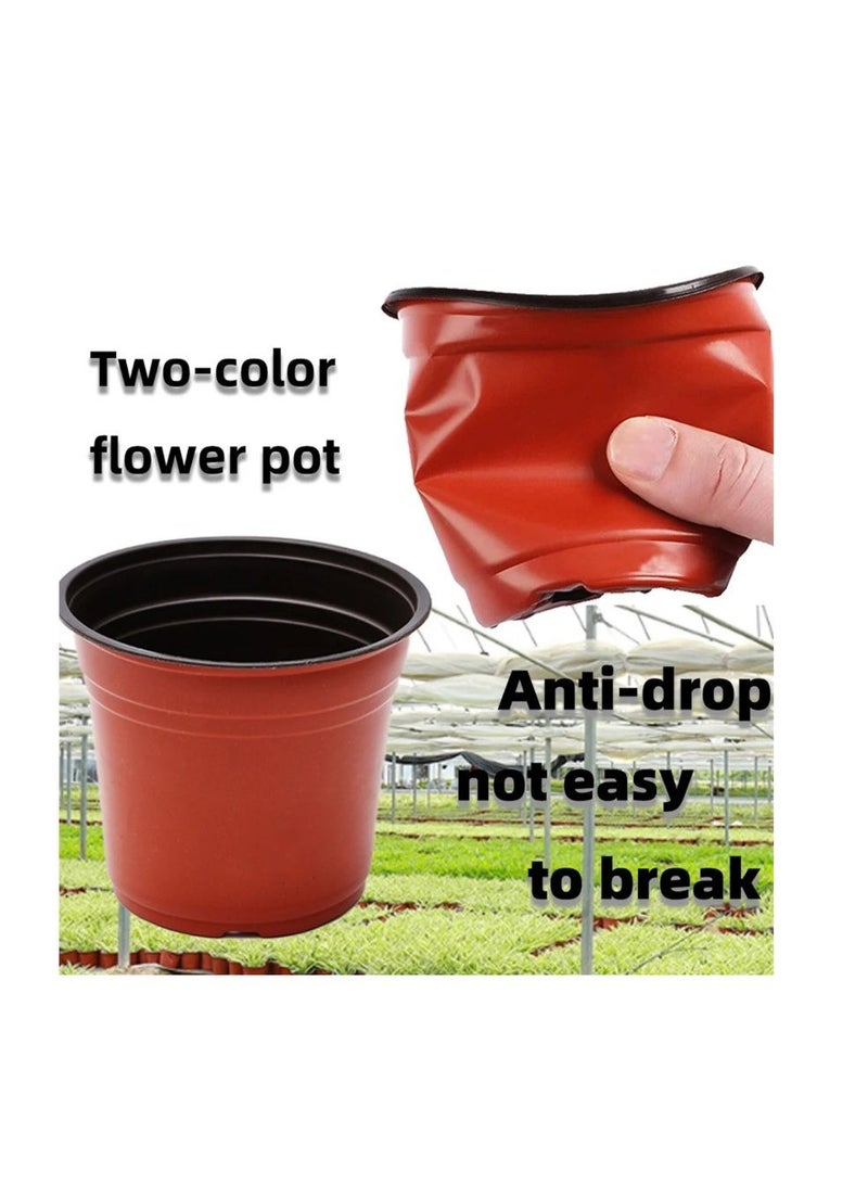 قوالب شتلات خارجية - ١٠٠ قطعة - Image 4