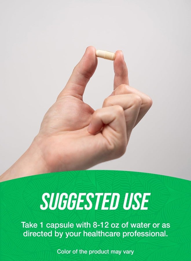 بالك سابلمنتس كبسولات هوبيرزين أ 200 ميكروغرام من BulkSupplements.com - منشط للدماغ، مكمل هوبيرزين أ - خالٍ من الغلوتين، كبسولة واحدة لكل جرعة، 500 كبسولة (عبوة واحدة) - Image 4