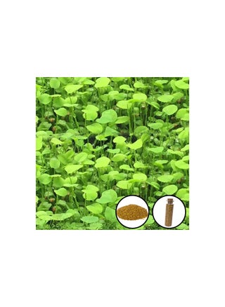(Multicolour love leaf grass )
