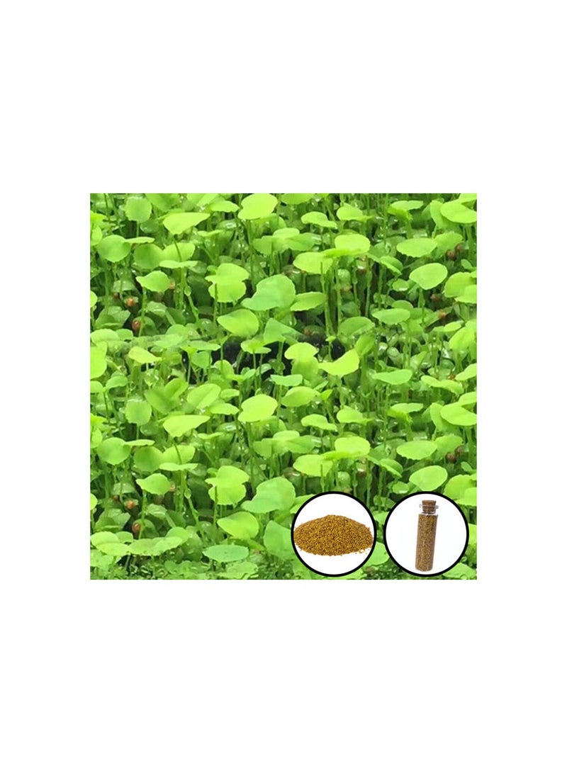 Generic Aquarium seeds love leaf grass 15ml 