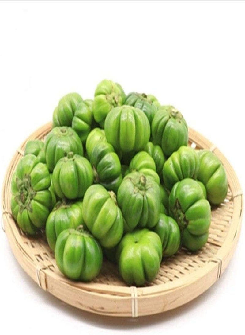 GGOOT 200Pcs Eggplant Seeds Rare Green Small Eggplant Annual Herb Common Non-GMO Vegetables Suitable for Outdoor Home Gardening Planting - Image 1