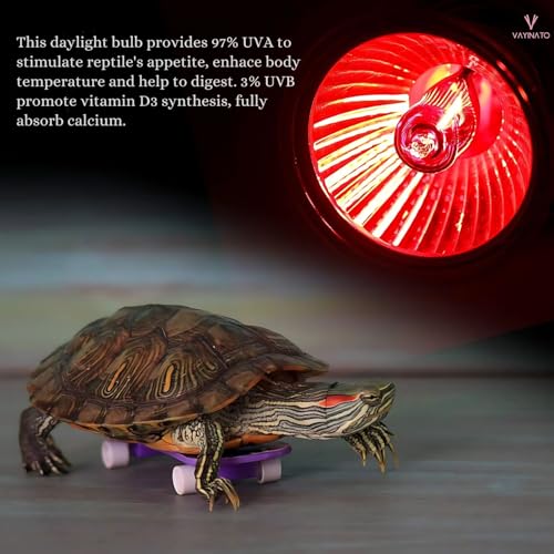 VAYINATO® 50W Infrared UV Rays (Red) Reptile Turtle Heat Lamp Lights, Night Use UVA UVB Aquarium Bulbs by Petzlifeworld - Image 3