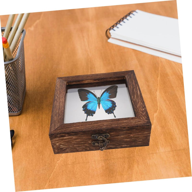 Rustic Wood Shadow Box Display Case with Eva Padding for Insect Preservation Photos Tickets Collectibles Decor - Image 5