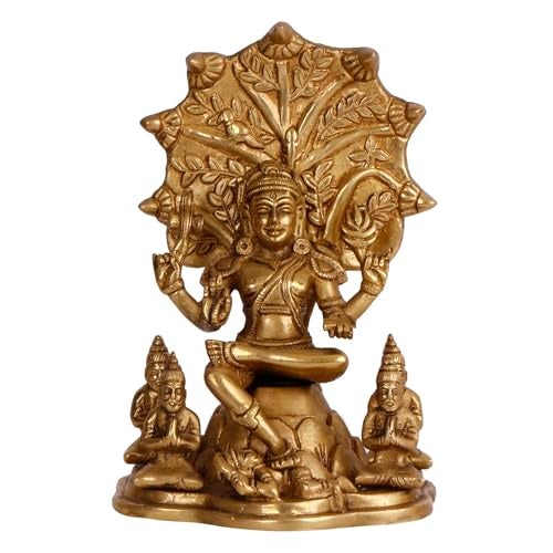 Kartique Brass Dakshinamurthy Shiva as a guru Teacher of All Types of Knowledge Statue Height 9 Inches - Image 1