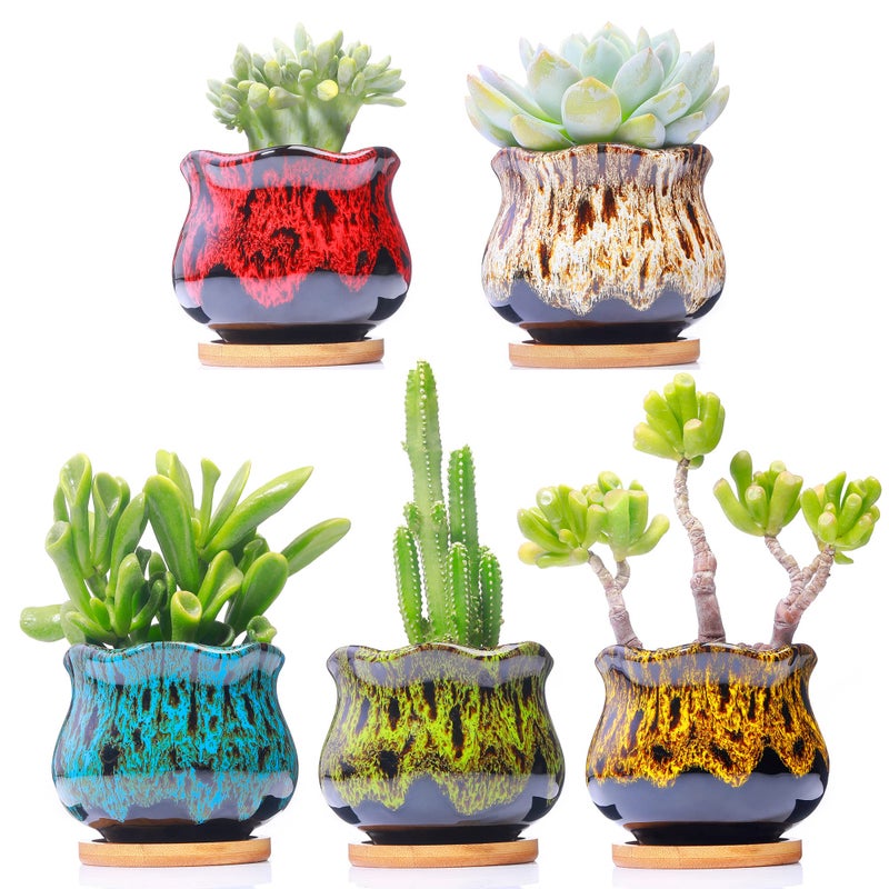 LamDawn Cute Ceramic Succulent Garden Pots, Planter with Drainage and Attached Saucer, Set of 5 -Plants Not Included (Fambe) - Image 1