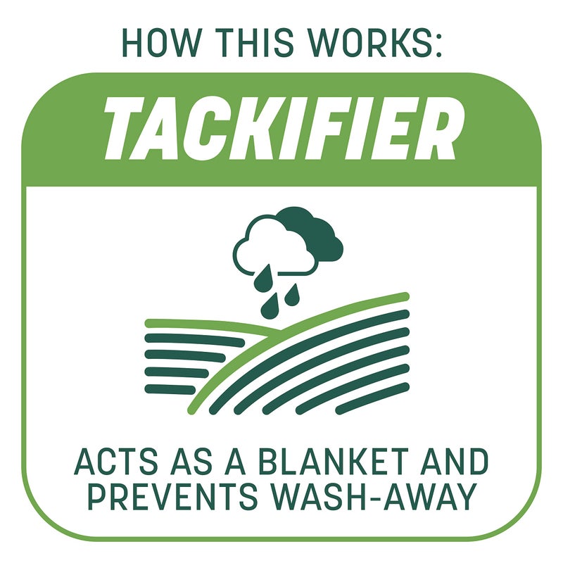 Pennington Smart Patch Tall Fescue Mix Jug 5 lb - Image 5