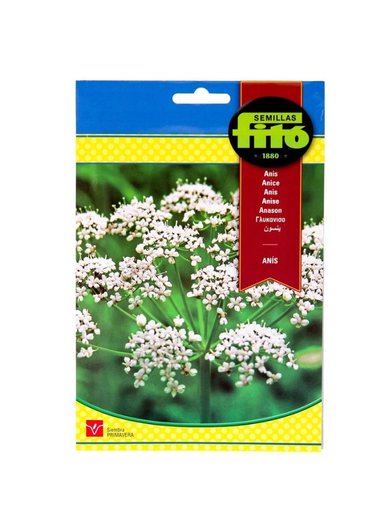 Fito Seed Anise Herb 1g