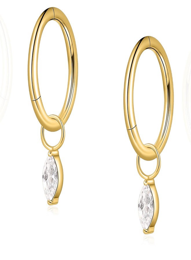 limerencia G23 Titanium Hoops Rook Piercing Jewelry 6mm 8mm 16G 18G Implant Grade Titanium Dangle Huggie Rook Earrings Cartilage/Conch/Daith/Helix Piercing Stacking Rings for Women Men Sensitive Ears - Image 1