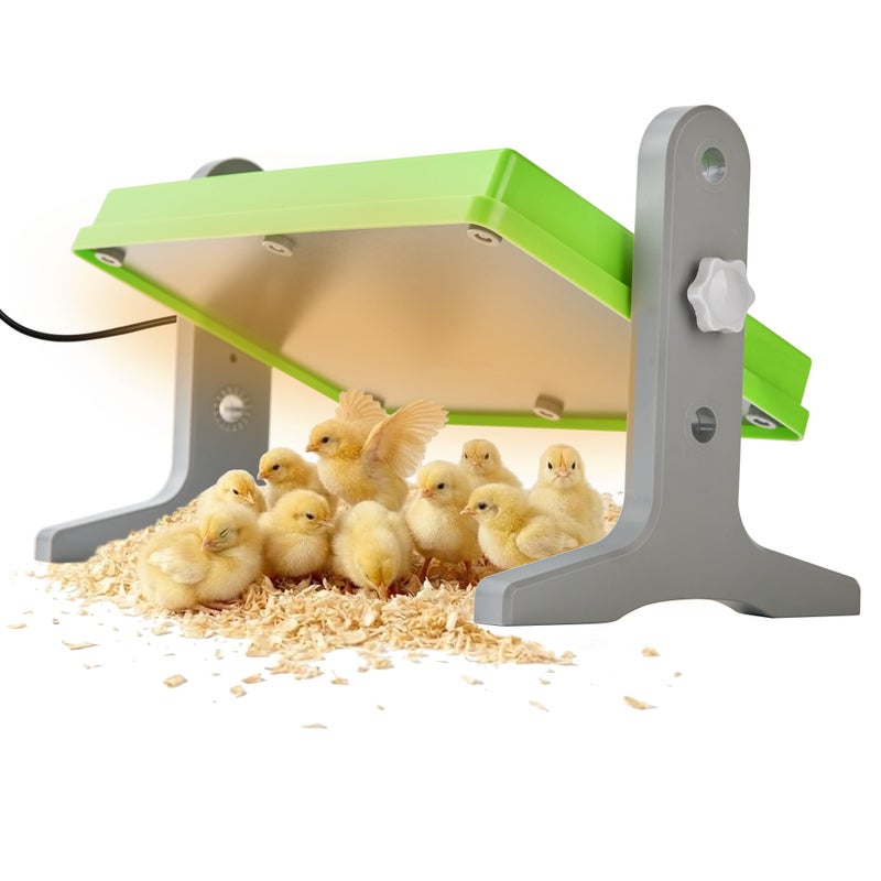 fuzzy-bird Fuzzy Bird Chick Brooder (12''*8'') Brooder Heater for Chicks Ducks and Birds Incubation Heating Keep Chicks Warm Newly Upgraded Temperature Adjustable Height Adjustable Chick Heating Plate - Green - Image 1