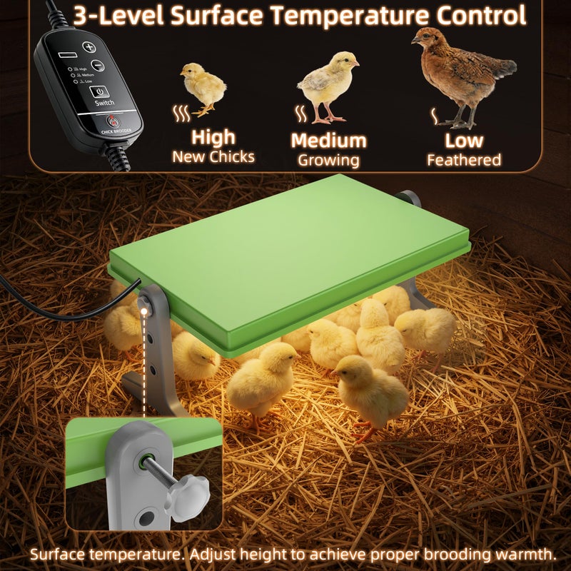 fuzzy-bird Fuzzy Bird Chick Brooder (12''*8'') Brooder Heater for Chicks Ducks and Birds Incubation Heating Keep Chicks Warm Newly Upgraded Temperature Adjustable Height Adjustable Chick Heating Plate - Green - Image 3