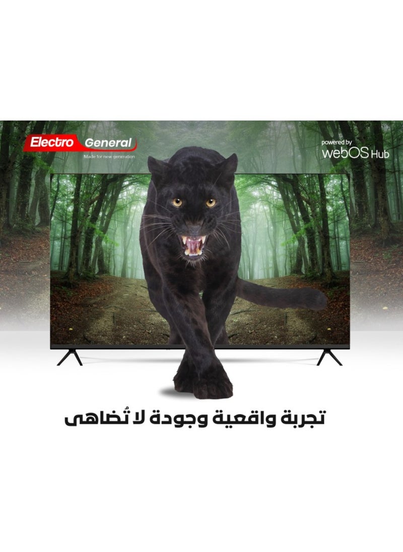 Electro General - SMART LED TV 75 Inch TH-75WBS20 - WEB OS - ULTRA HD 4K FRAMELESS DISPLAY WITH DOLBY VISION FOR AN UNPARALLELED ENTERTAINMENT EXPERIENCE WITH MAGIC REMOTE CONTROL-FREE Wall Mount Bracket - Image 1